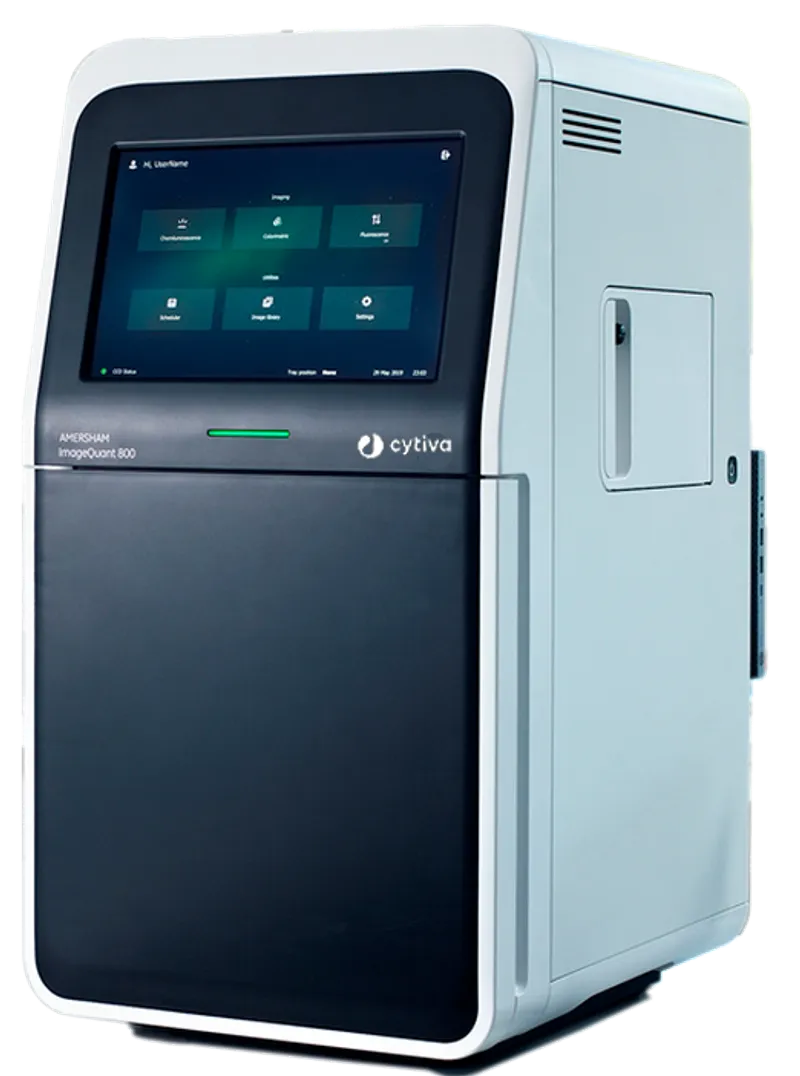 Amersham ImageQuant 800