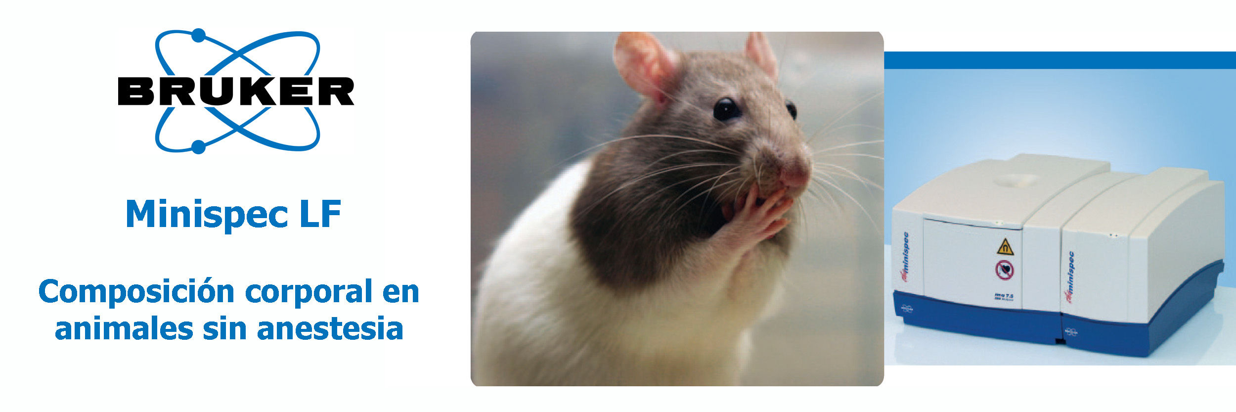 Minispec LF: composición corporal en animales sin anestesia