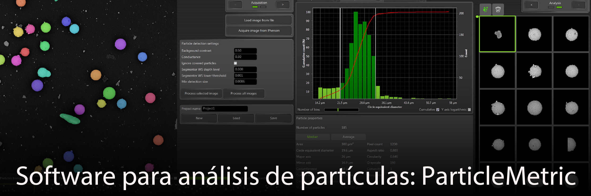 Los microscopios electrónicos de barrido (SEM) Phenom World aceleran la investigación